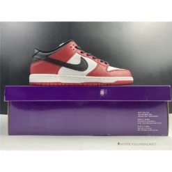 Hypeyourbeast Nike SB Dunk Low Chicago