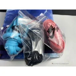 Hypeyourbeast Nike SB Dunk Low 'Purple Lobster'