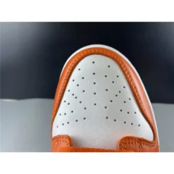 Hypeyourbeast Nike Dunk Low 'Syracuse'