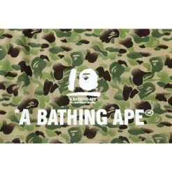 Hypeyourbeast BAPE Chinese Style Ink 10th Anniversary Camouflage Tee Shirt 'GREEN' 22 Hypeyourbeast BAPE Chinese Style Ink 10th Anniversary Camouflage Tee Shirt 'GREEN'