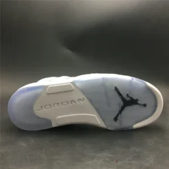 Hypeyourbeast Air Jordan 5 Wings