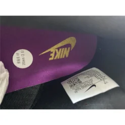 Hypeyourbeast Nike Dunk 'Viotech'