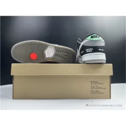 HypeYourBeast Nike SB Dunk Low VX1000