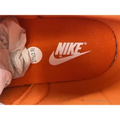 Hypeyourbeast Nike Dunk Low 'Syracuse'