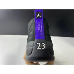 Hypeyourbeast Air Jordan 12 'Dark Concord'